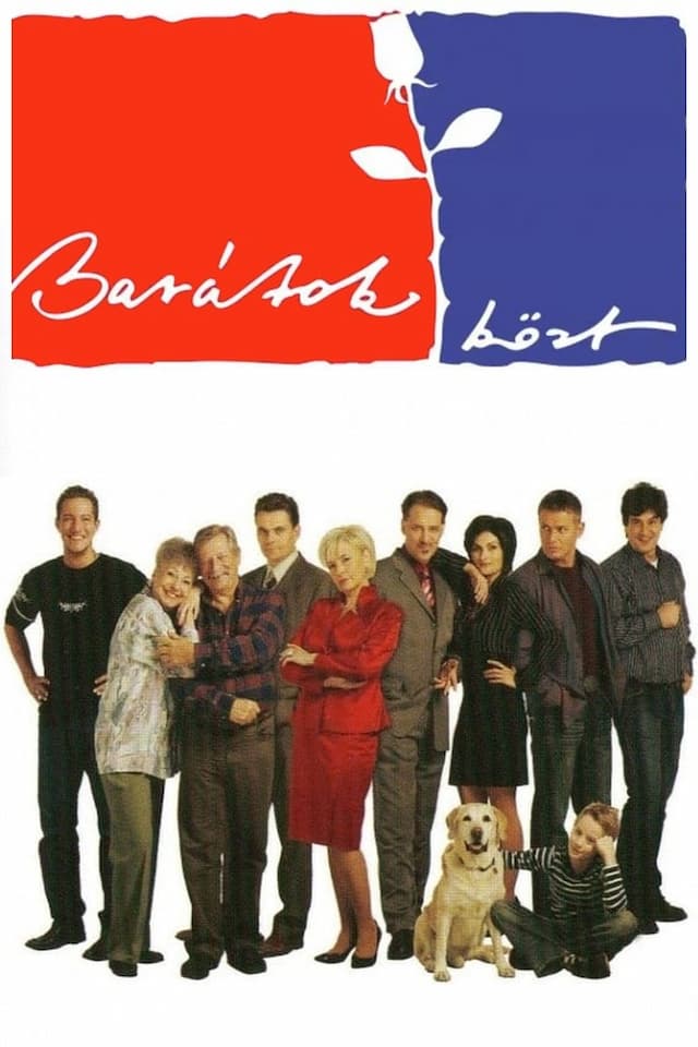 Among Friends poster